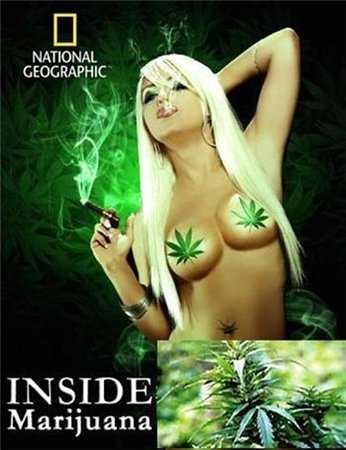 Супертрава / Inside: Marijuana (2009) DVDRip