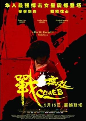 Паутина лжи / Zhang wu shuang (2009) DVDRip