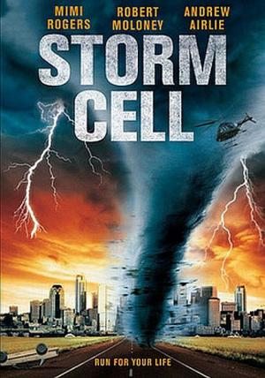 Штормовое предупреждение / Storm cell (2008) DVDRip